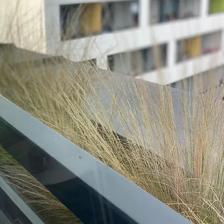 Pri Radnici Appartement Košice