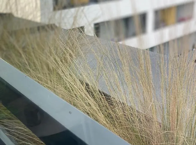 Pri Radnici Daire Kösice